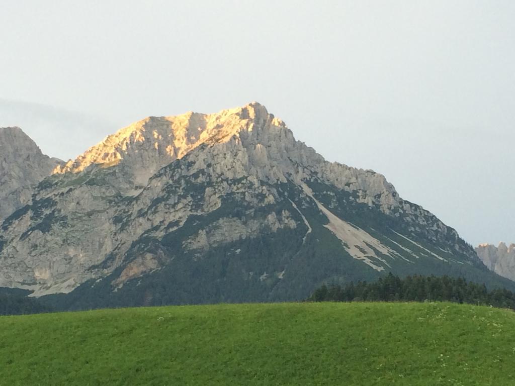 Appartementhaus Zum Schneider Scheffau am Wilden Kaiser Dış mekan fotoğraf